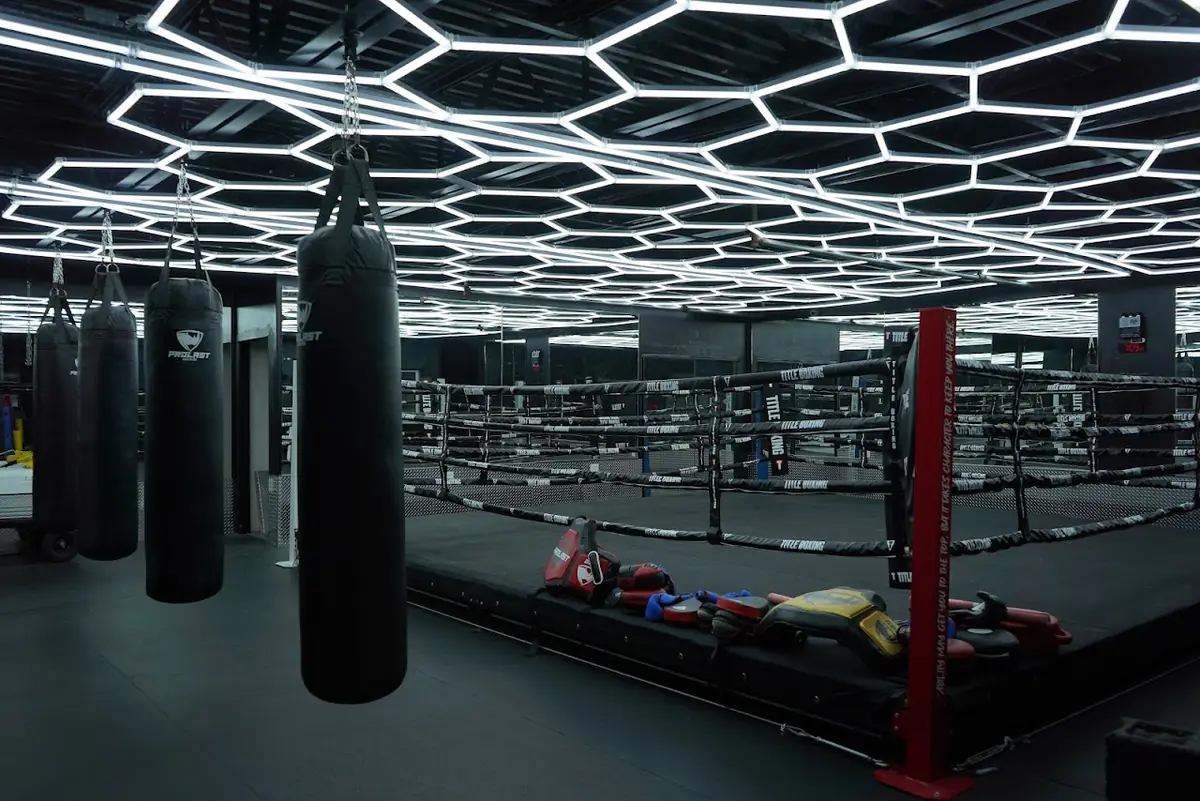 Heavy bags and speed bags hanging beside a boxing ring under hex lighting